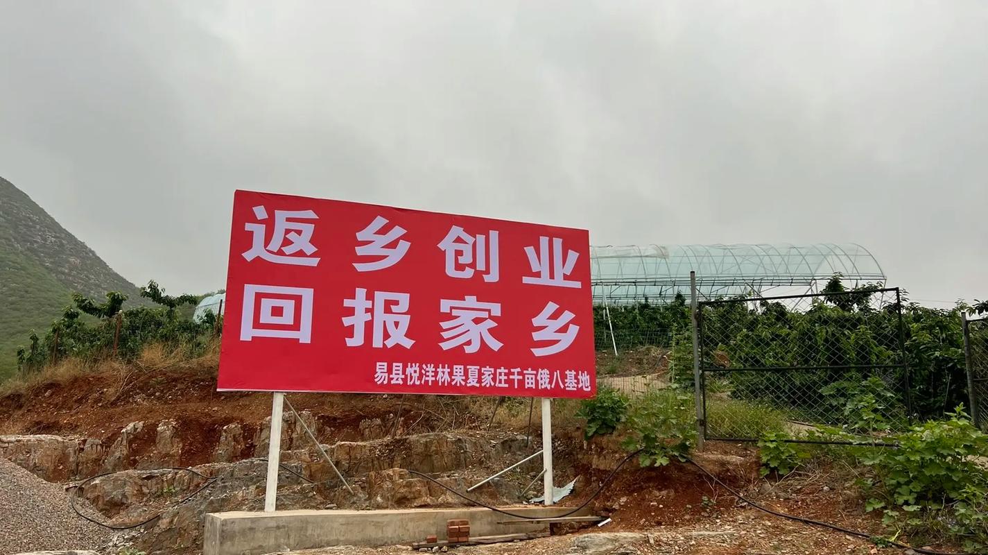 抖易圈营销